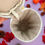 Thumbnail: Pumpkin Spiced Latte Bag - Chic Autumn Crossbody - Pumpkin Patch 
