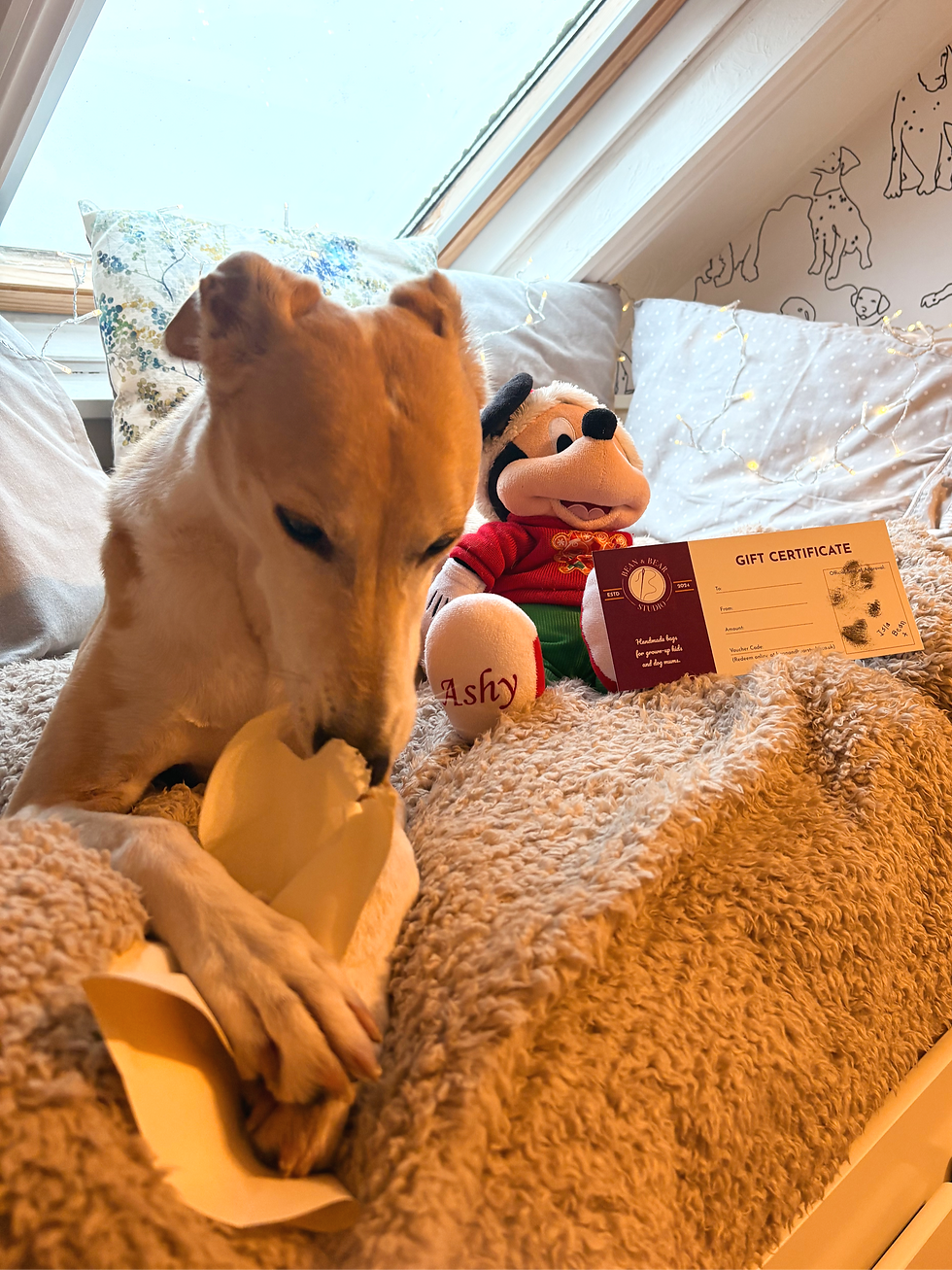 Thumbnail: Bean & Bear Studio Gift Certificate