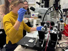 The Art of Engineering Research