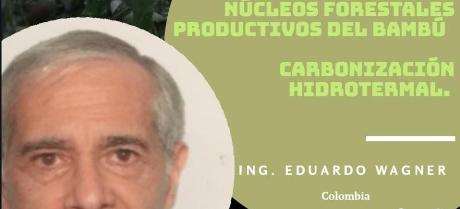 13° CONVERSATORIO .CARBONIZACIÓN HIDROTERMAL.