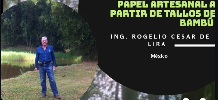 17° PAPEL DE BAMBÚ