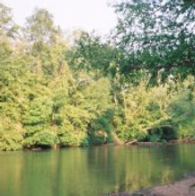 park-pacolet-photo-01-1.jpeg