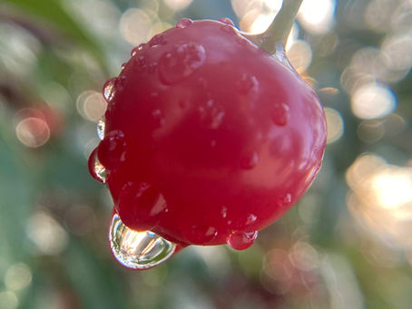 God's Response to a Panic-filled Night