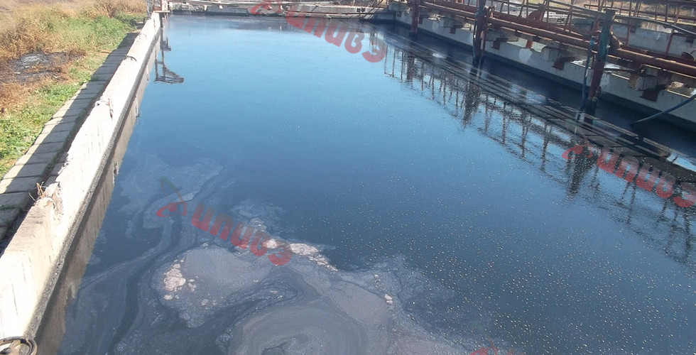 аудит від  ЦПДвЕ 