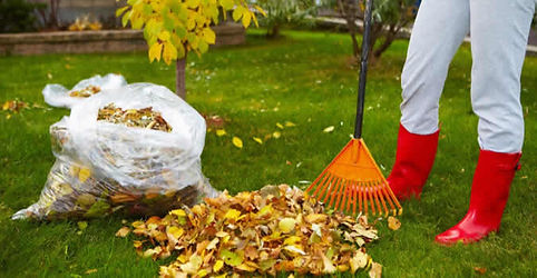 YardCleanUP1-675-350.jpg