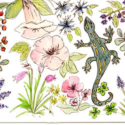 aquarelle fleurs