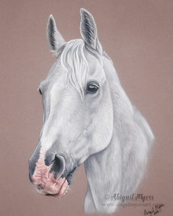 8x10 Horse Pastel