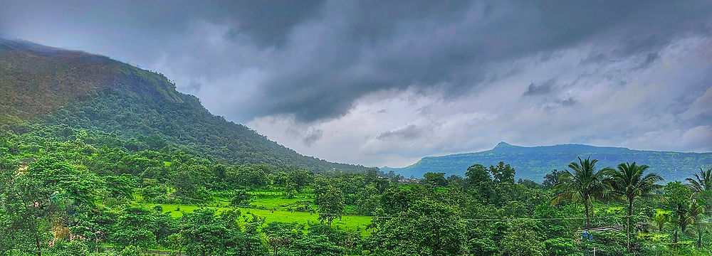 Peth Fort