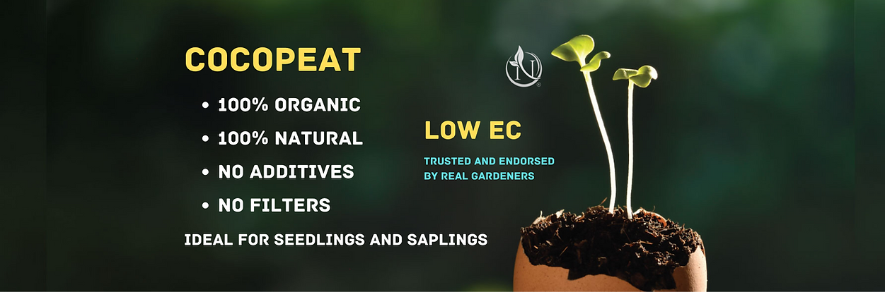 Add a heading (22).png