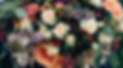 Gemini_Generated_Image_bfhdixbfhdixbfhd.png