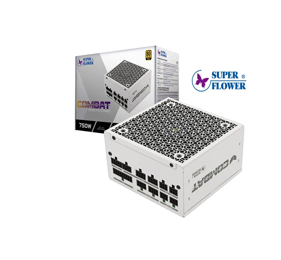 振華 COMBAT 650W 白 FG系列 金牌