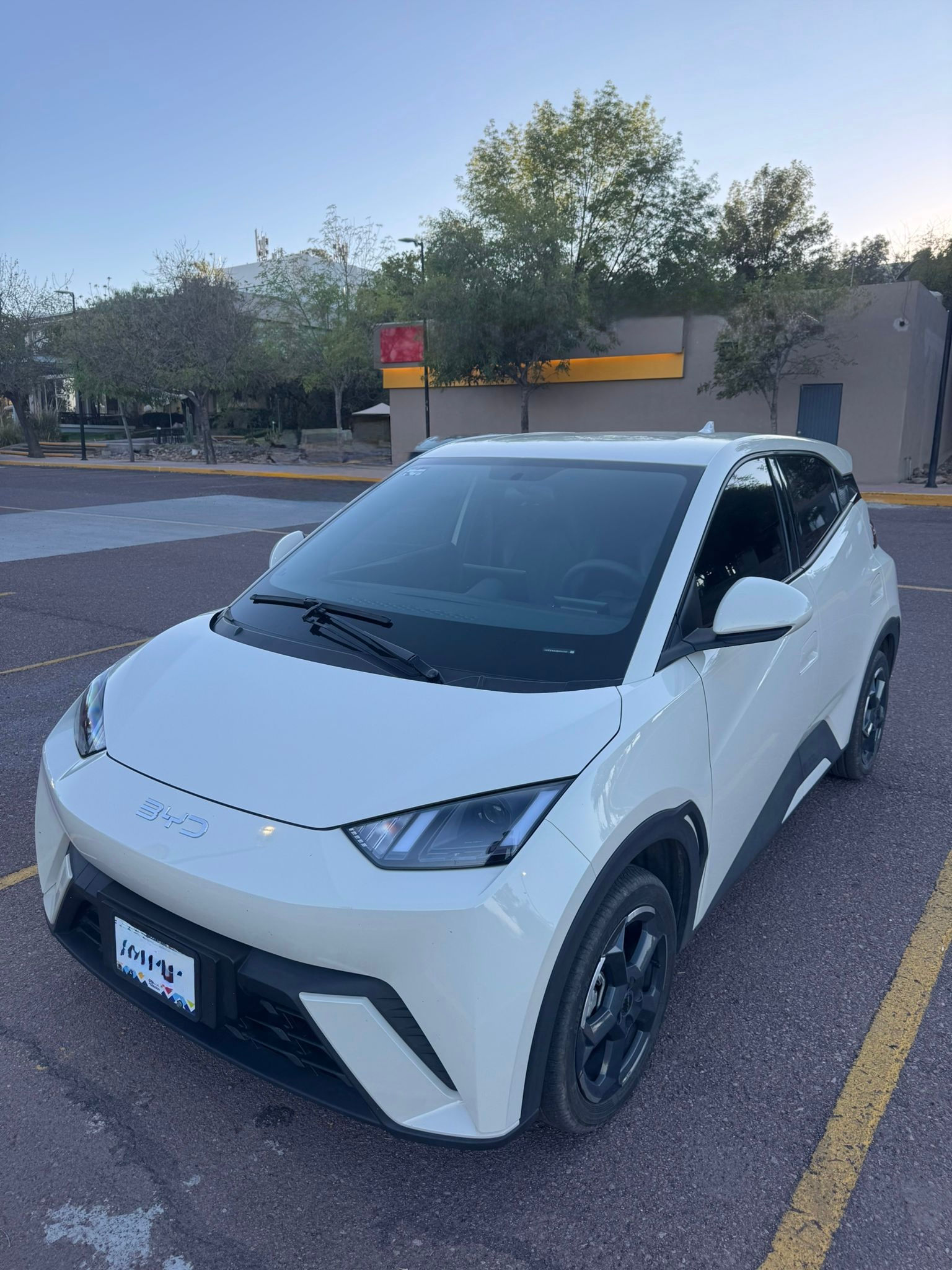 2025 BYD Mini Dolphin