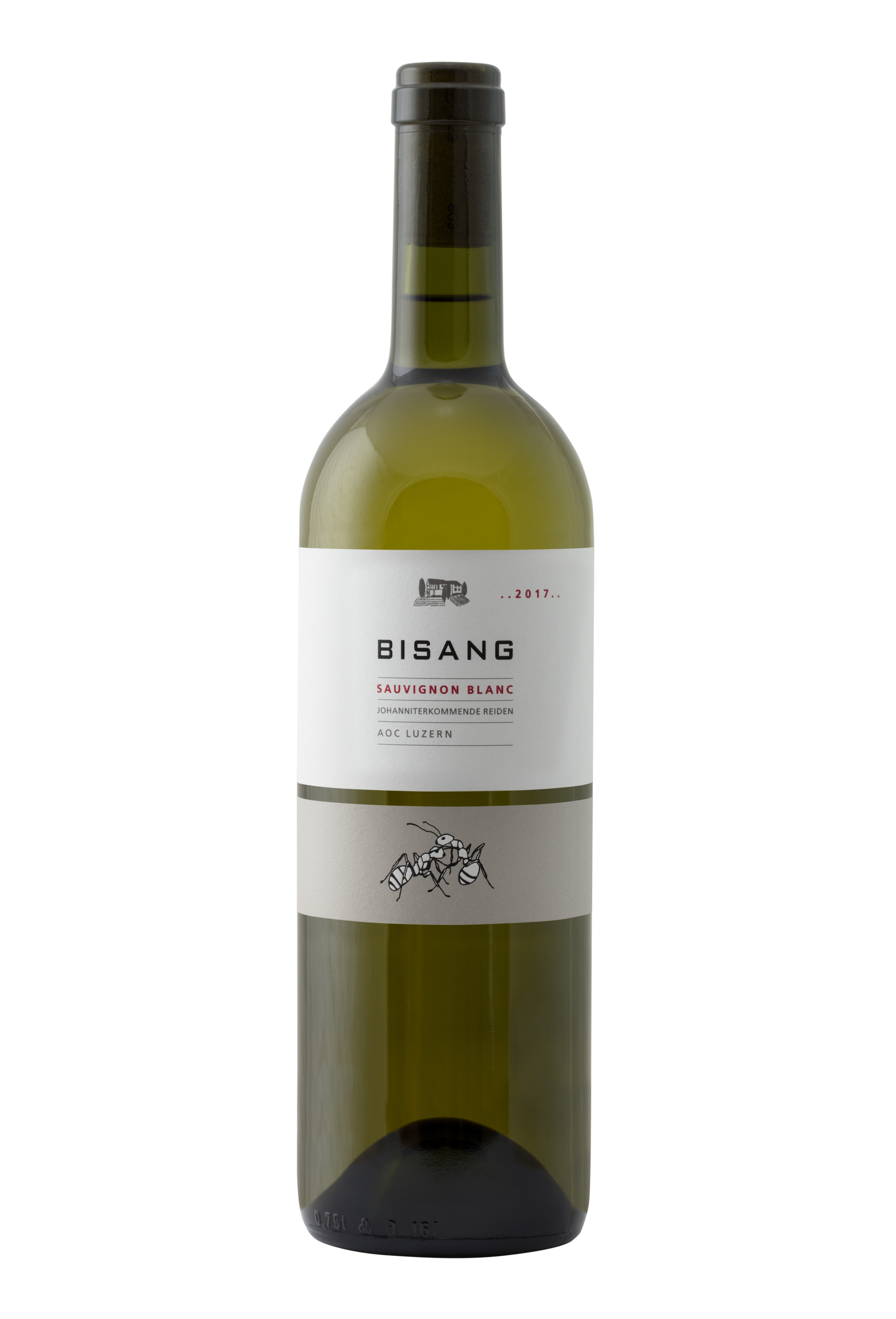 sauvignon blanc