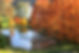 Maison-dIgor_lArboretum-1.jpeg