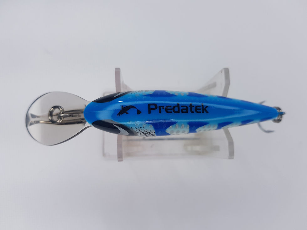 Thumbnail: Predatek Spoonbill 85