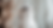 cat.png