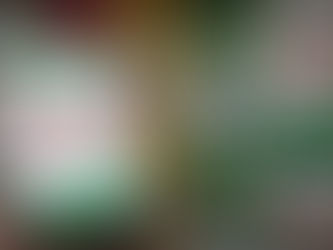 Mengniu Bets on Premiumisation and Global Expansion Amid Domestic Headwinds