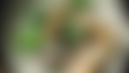 The Rise of Sustainable Nutrition: Insights from Nurasa's Innovation Drive