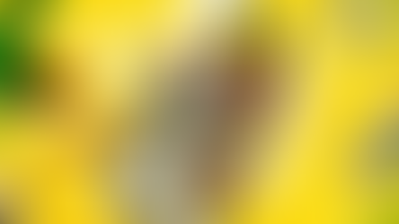 Asahi's RTD Beverages and Southeast Asia Drive Growth Amid Oceania Challenges