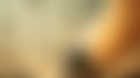 Exporters: Navigating Sustainability Amid JBS's Environmental Challenges"