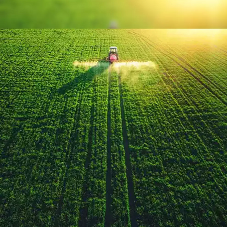 Navigating the Future: Strategic Directions in Asia's Agritech Investment