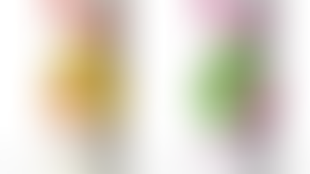 Flojo Targets Asia's Beverage Market with AI-Powered Productivity Drink