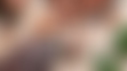 Ensuring Sustainability in Cocoa Supply Chains: A Call to Action for Chocolate Companies