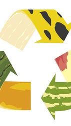 ♻️ Upcycling en alimentos: transformar residuos en oportunidades sostenibles