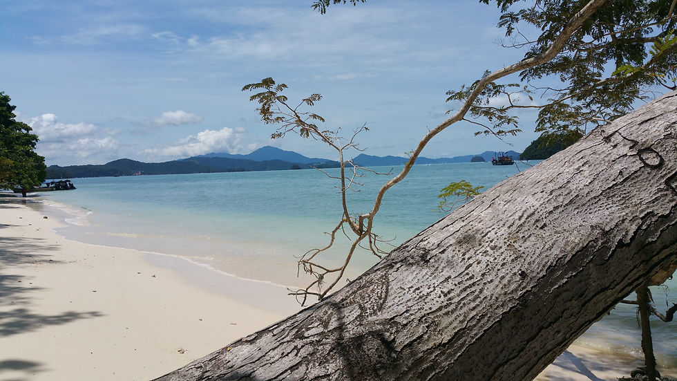 Miniature : ISLAND HOPPING 15 pax private boat