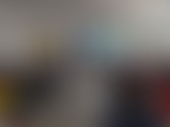 Vinaròs celebra 10 anys d'educació ambiental amb BIONORD