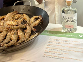 L’Ajuntament de Vinaròs obri la convocatòria per a participar en la primera edició del Gastrollagostí 2026