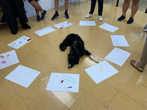 El CRISOL de Vinaròs concluye con éxito un programa pionero de Intervenciones Asistidas por Perros