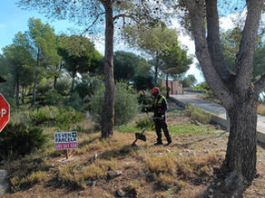 El Ayuntamiento ejecuta los trabajos enmarcados en el Fondo Estratégico Forestal