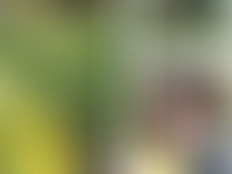 30.12.17 - 16.30 Atelier de Baumes Magiques