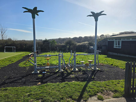 The hard truth about outdoor gym equipment and why safety must come first in our playgrounds