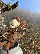 IMG_8627.JPEG