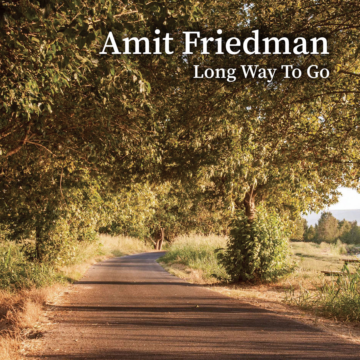 Long way to go - Amit Friedman