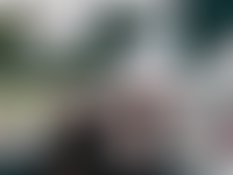 50.000 GRITAM NAS RUAS NESSE 27 DE OUTUBRO