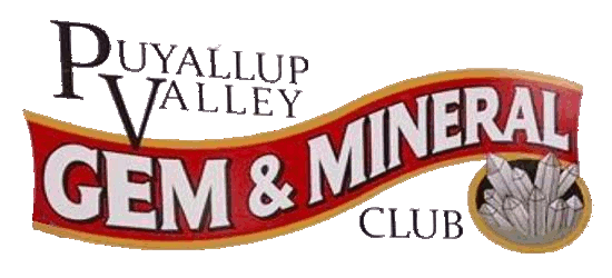 logo4.gif