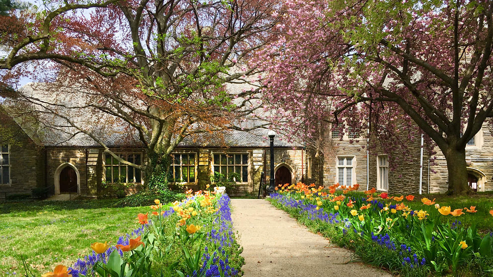 LAYOVERS - Philadelphia, PA