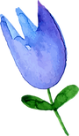 Flower _edited_edited.png