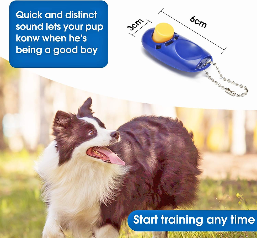 Thumbnail: Dog Training Leash with Clickers 15/20/30/50/100 Ft (For Dogs & Cats)