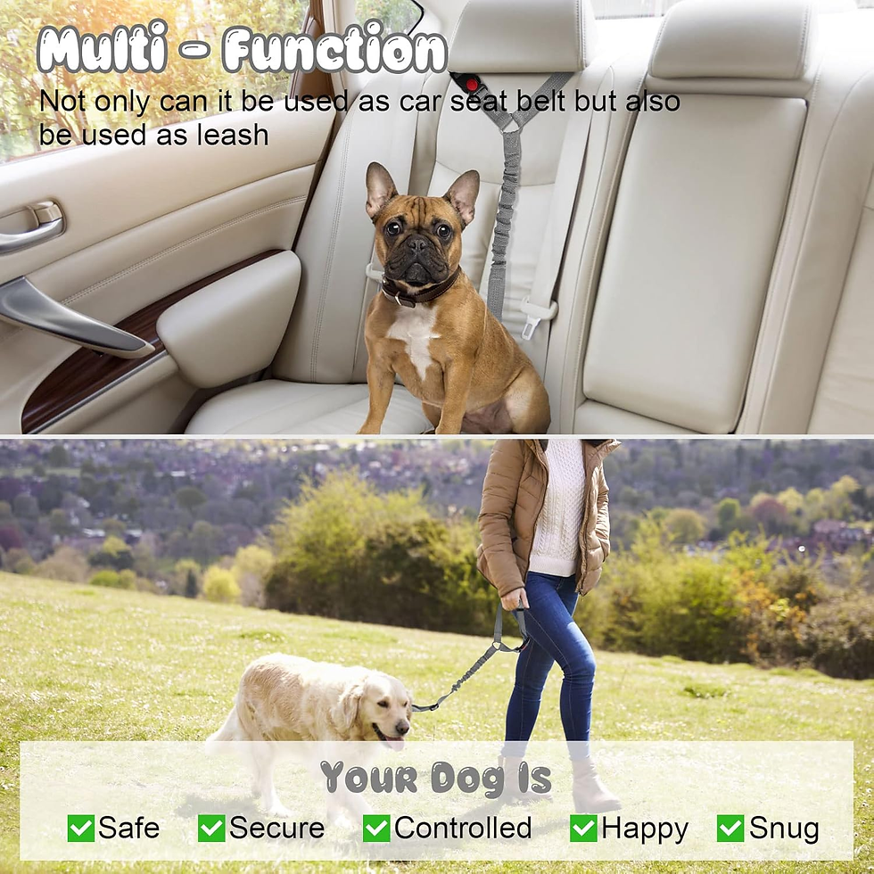 Thumbnail: durable dog toy, dog enrichment toys, healthy dog snacks