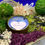 Thumbnail: Peace Candle