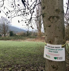 EAST OF OTLEY PLAN WILL DEVASTATE LOCAL WILDLIFE