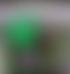 AWARD-WINNING BAKERY AND LOCAL ARTIST SHOW SUPPORT