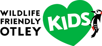WFO Kids Logo@2x.png