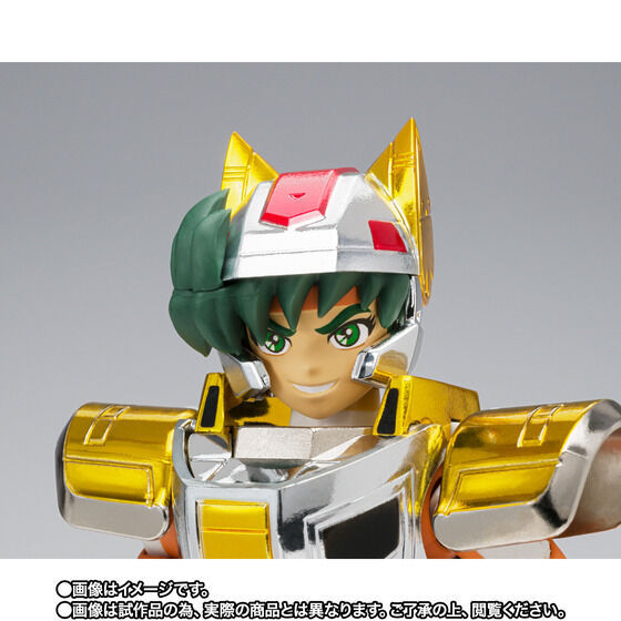 Thumbnail: Saint Cloth Myth Steel Saint Land Cloth Daichi revival version Japan version