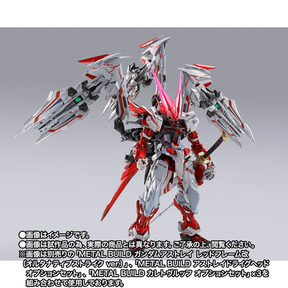 Miniatura: METAL BUILD Flight Unit Option Set (Alternative Strike Ver.) Japan version
