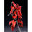 Miniature : Bandai RG 1/144 Sazabi (Special Coating) Japan version